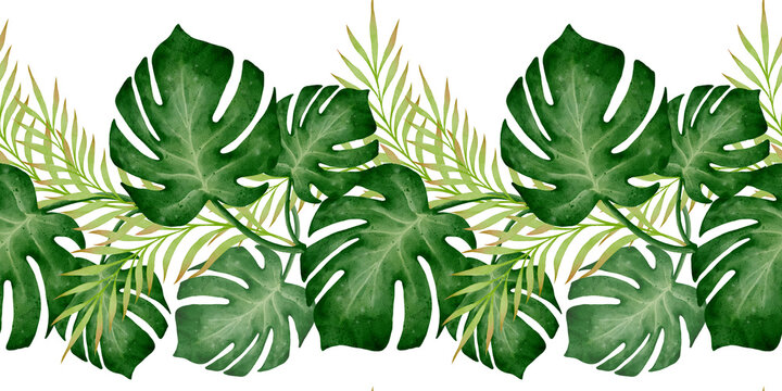 Watercolor seamless tropical border with monstera and palm leaves, green foliage illustration on white background, perfect for summer banners, invitations, botanical decor and nature themed design.