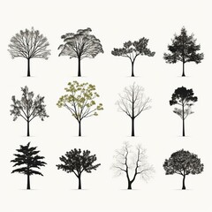 Fototapeta premium black and white silhouette of trees