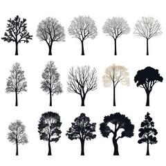 black and white silhouette of trees