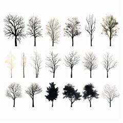 Obraz premium black and white silhouette of trees