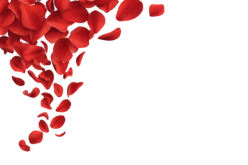 Love valentine background with red petals of hearts on transparent background. Vector banner, postcard, background.The 14th of February. PNG image