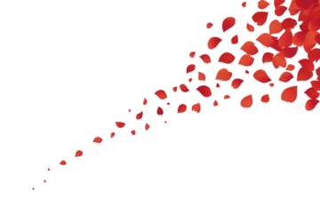 Love valentine background with red petals of hearts on transparent background. Vector banner, postcard, background.The 14th of February. PNG image