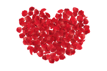Love valentine background with red petals of hearts on transparent background. Vector banner, postcard, background.The 14th of February. PNG image