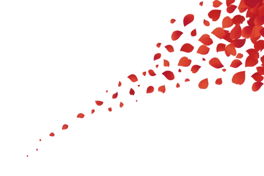 Love valentine background with red petals of hearts on transparent background. Vector banner, postcard, background.The 14th of February. PNG image - Powered by Adobe