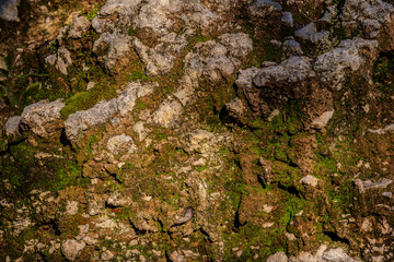 Obraz premium Limestone is a sedimentary rock whose main component is the mineral calcite. Limestone deposits are more or less interpenetrated by clay or quartzite impurities.