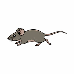 vector illustration of pest rat on white background