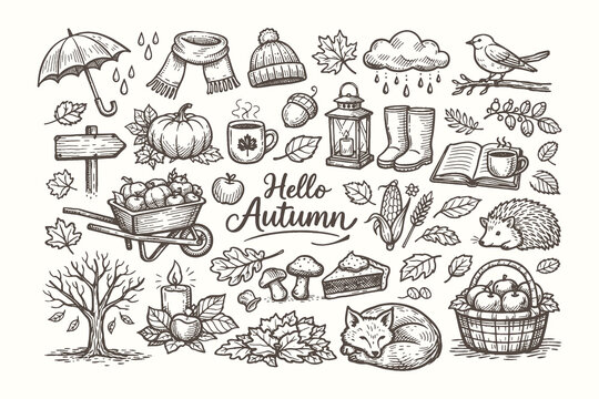 Autumn Season and Fall Elements Line Art Illustration Set Featuring Nature Objects, Cozy Lifestyle Items, and Seasonal Decorations in Hand Drawn Vector Style
