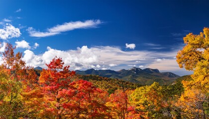 Fototapeta premium vibrant fall leaves displayed under clear blue sky with fluffy clouds hills and mountains in the distance