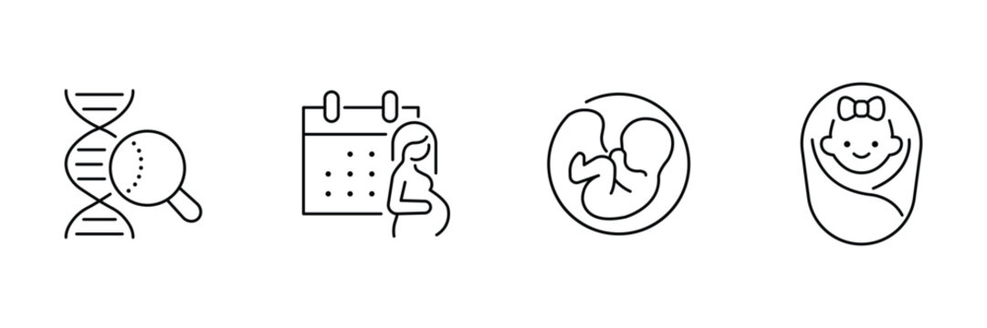 Pregnancy genetics icon set, DNA screening research, prenatal calendar schedule, fetus development stage, newborn baby girl swaddle outline illustration.