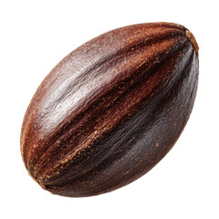 avocado seed whole brown texture isolated on transparent background
