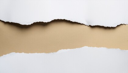 ripped white paper edge with uneven jagged tear