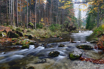 Bachverlauf an einem bedeckten Tag im Herbst