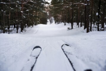 Skier on snowy forest trail during winter day