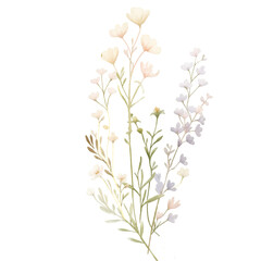 Fototapeta premium Watercolor soft wildflower stems with delicate pastel blossoms on black background