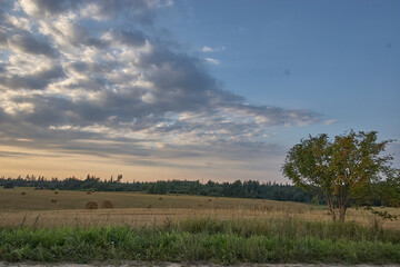 Obraz premium Rural Field with Hay Bales and Dramatic Evening Sky