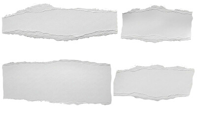 Fototapeta premium White torn paper strips set. Ripped paper edges, rough textured torn sheets, realistic paper tear elements isolated on transparent background