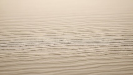 Obraz premium Abstract nature background featuring textured sand dunes with dry ripples and wind-blown waves in a brown Saharan desert pattern