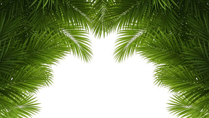 A dark silhouette isolated on transparent background resembling tropical foliage