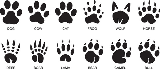Animal paw prints collection vector illustration