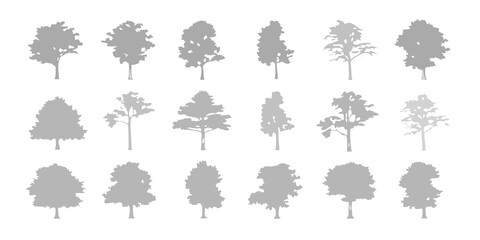 Collection of grayscale silhouettes depicting various tree types and foliage © Dayal