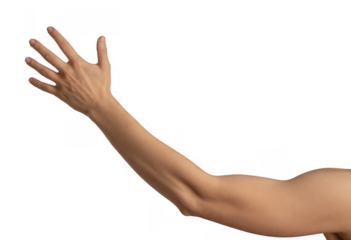 Human arm with raised hand people isolated on a transparent background