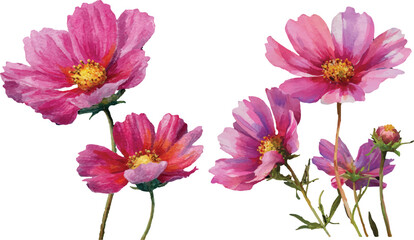 Obraz premium set of flowers isolated on white