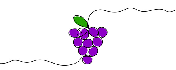 A bunch of grapes with a leaf, filled with purple and green color. Drawing in one line art style with editable black stroke on a white background. Vector illustration