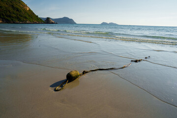 Obraz premium Golden sand patterns curve along a quiet beach at low tide, with gentle waves, distant hills, and a clear blue sky, creating a serene coastal landscape with natural textures and warm light.
