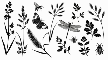 Black and White Insects and Plants Illustration. © Ale