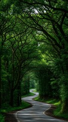 Fototapeta premium Serene Forest Path Under Lush Green Canopy