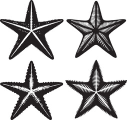 Star fish text icon silhouette vector with white background