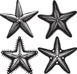 Star fish text icon silhouette vector with white background
