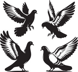 Pigeon icon silhouette vector with white background