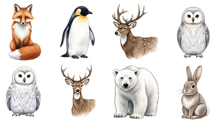 Collection of diverse wild animals, charming Watercolor illustrations. Individual wildlife portraits, captured from a front studio viewpoint. © Choate
