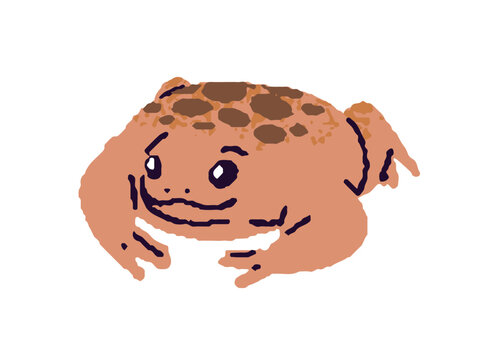 Cute rain frog. Big fat brown toad with spotted back. Exotic froggy of rainforest. Tropical amphibian with poison skin. Wild animal of swamp. Flat isolated vector illustration on white background.