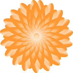 abstract orange flower