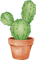 Small Potted Cactus watercolor