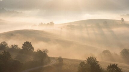 An ethereal landscape painted in soft, golden hues as sunlight filters through a misty, creating a tranquil and serene atmosphere.