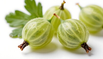 Freshly picked green gooseberries with delicate water droplets on a pristine white background