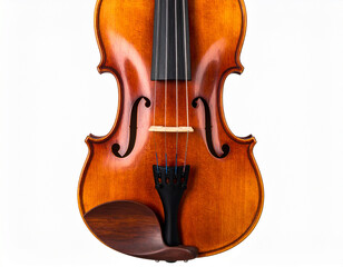 Violin front view