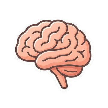 human brain sticker illustration