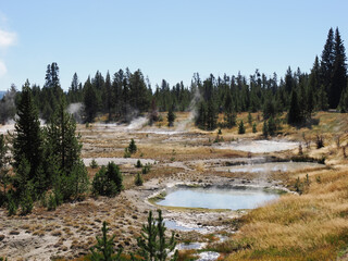Thermal Pools and Steam Vents in West Thumb Geyser Basin