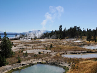 Steaming Geothermal Pools at West Thumb Geyser Basin