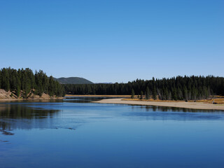 Yellowstone River Flowing Calmly Through Pine Forest