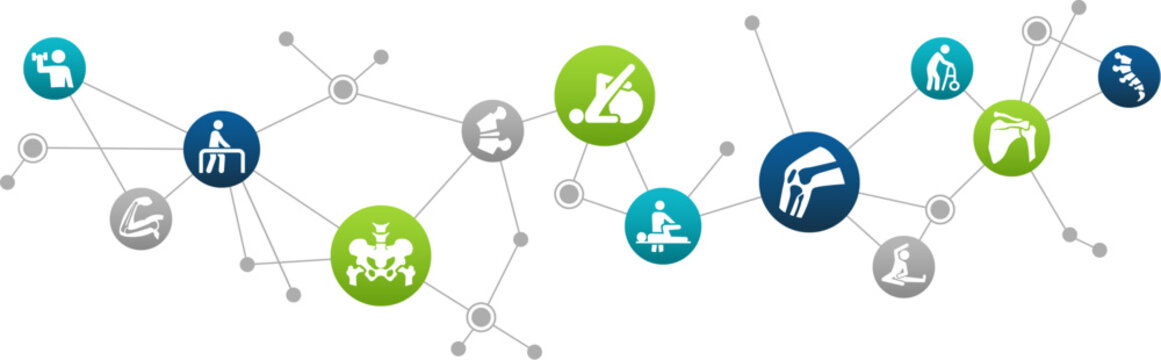 orthopedics / rehabilitation / chiropractic vector illustration. Concept with icons related to physical therapy, skeletal medicine, arthritis / osteoporosis - rehabilitation & recovery from injury.