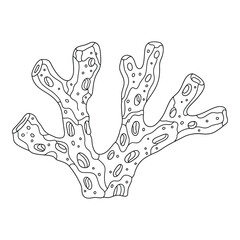 Fototapeta premium Detailed line art illustration featuring stylized coral branch element