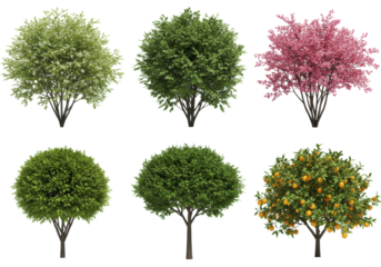 Meticulously detailed 3D rendered collection of diverse landscape plants: bushes, flowers, citrus tree; isolated on transparent background, concept for design asset libraries