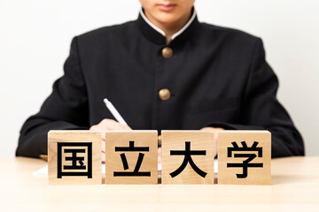 「国立大学」と書かれたブロックと男子学生