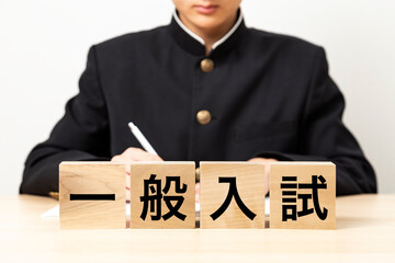 「一般入試」と書かれたブロックと男子学生