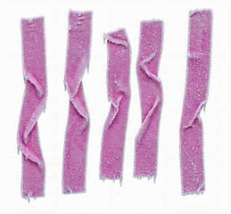 A high-resolution studio photograph of five vertical pink frozen strips with twisted shapes, covered in ice crystals and water droplets, isolated on a clean white background.